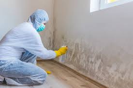 Mold Odor Removal Services in High Ridge, MO